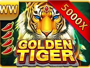 Golden Tiger icon
